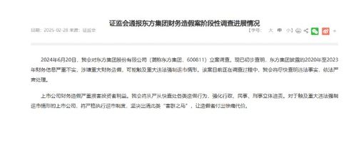 东方集团涉嫌重大财务造假 东方集团涉嫌重大财务造假