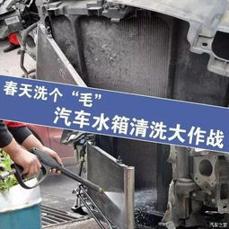 汽车清理水箱多少钱 汽车清理水箱多少钱