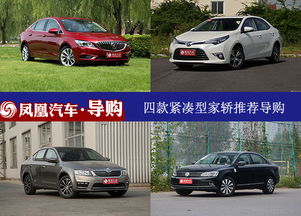 东莞有多少汽车