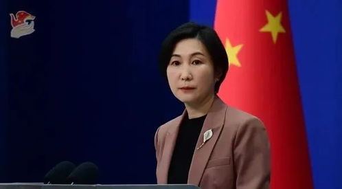 毛宁首次主持两会外长会 毛宁首次主持两会外长会