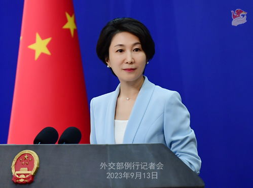 毛宁首次主持两会外长会 毛宁首次主持两会外长会