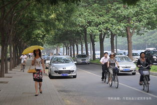 城市街道小汽车速度多少 城市街道小汽车速度多少
