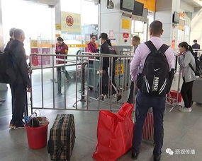 大沥汽车站电话是多少 大沥汽车站电话是多少