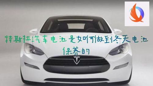 特斯拉汽车保养电话多少 特斯拉汽车保养电话多少