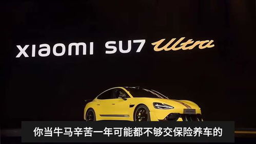 有小米SU7Ultra车标被融了 有小米SU7Ultra车标被融了