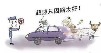 外国汽车罚款多少分
