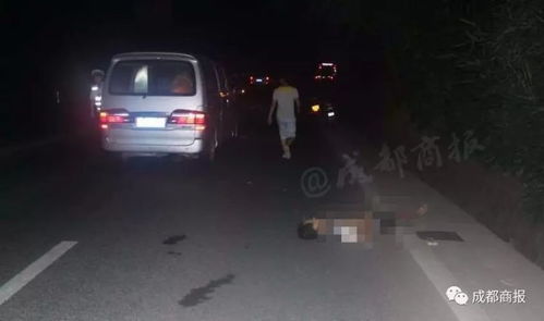 汽车撞了人担多少责任 汽车撞了人担多少责任