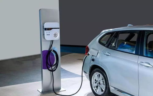 山丹多少家新能源汽车