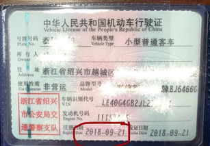 2019汽车年检多少钱 2019汽车年检多少钱