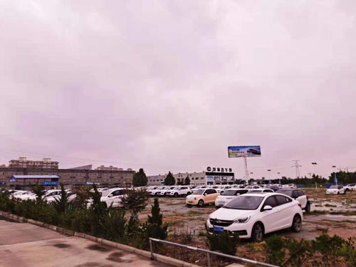 新乡市淹了多少汽车 新乡市淹了多少汽车