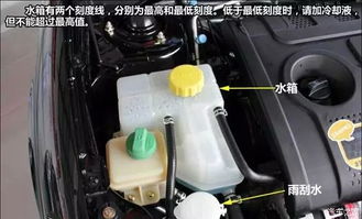 汽车水箱大概多少钱 汽车水箱大概多少钱