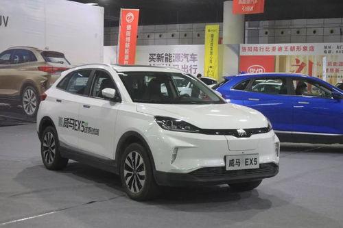 洛阳能源汽车售价多少 洛阳能源汽车售价多少