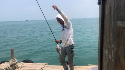 小男孩出海钓鱼睡着漂流一夜终获救