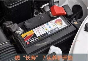汽车换电瓶多少钱