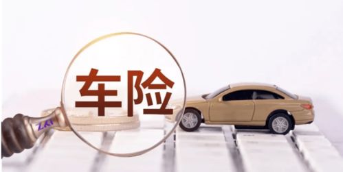 汽车中网保险多少钱 汽车中网保险多少钱