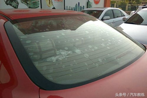 汽车起泡膜多少钱 汽车起泡膜多少钱