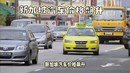 昆明汽车到新加坡多少钱