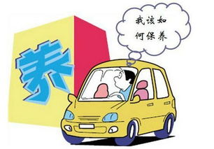 德州学汽车保养多少钱 德州学汽车保养多少钱