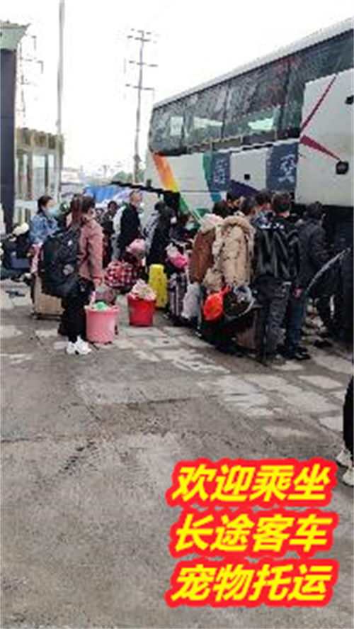 富县到洛川汽车多少钱