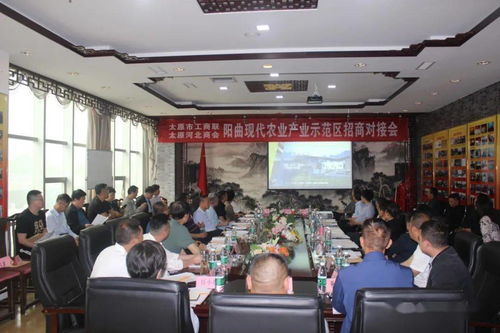 汽车光纤速度多少(汽车光纤速度，探索光纤技术在现代汽车行业的应用及其潜在速度)