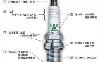 多少个汽车火花塞是一吨(一吨汽车火花塞的数量揭秘) 多少个汽车火花塞是一吨(一吨汽车火花塞的数量揭秘)
