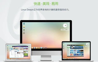 华为电脑Linux版怎么样(华为电脑Linux版怎么样，深度体验与技术解析)