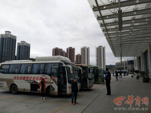 桑根达来汽车站电话多少(桑根达来汽车站电话大全及出行指南) 桑根达来汽车站电话多少(桑根达来汽车站电话大全及出行指南)