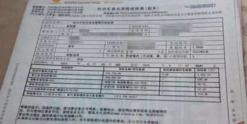 汽车保险交一年能买多少(汽车保险一年购买金额解析,费用构成与影响因素探讨) 汽车保险交一年能买多少(汽车保险一年购买金额解析,费用构成与影响因素探讨)