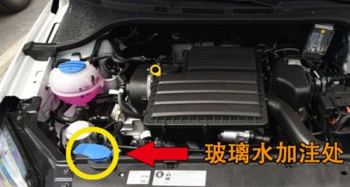 奇骏汽车玻璃水加多少(奇骏汽车玻璃水的加注量与使用方法) 奇骏汽车玻璃水加多少(奇骏汽车玻璃水的加注量与使用方法)