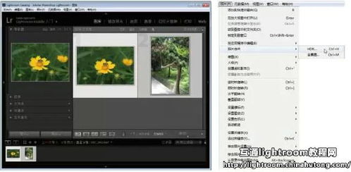 华为电脑看图识字怎么用(华为电脑看图识字功能详解，轻松实现图像内容智能识别)