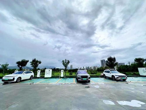 邹平汽车一年收入多少(邹平汽车年收入探究)