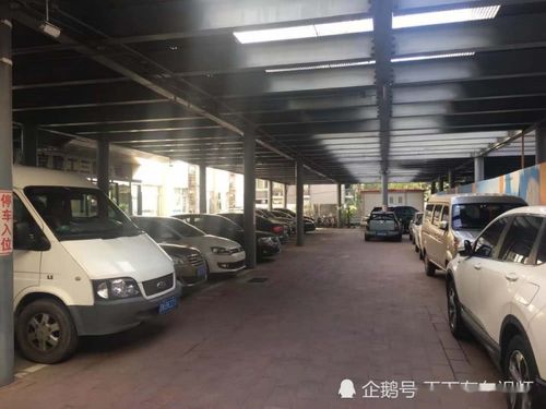 汽车一般停多少天最好看(汽车停放天数与最佳观赏期探讨)