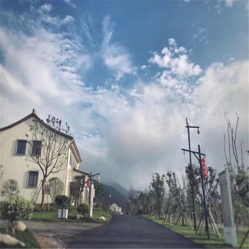汽车里的平面镜多少钱(汽车里的平面镜价格解析) 汽车里的平面镜多少钱(汽车里的平面镜价格解析)