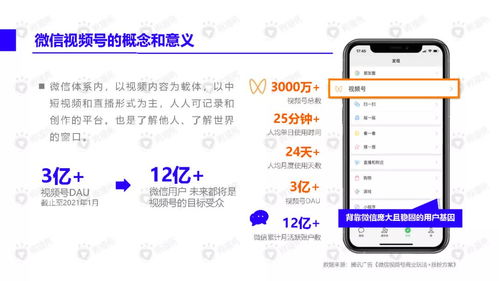华为头盔视频怎么下载到电脑(华为头盔视频下载到电脑的详细步骤)