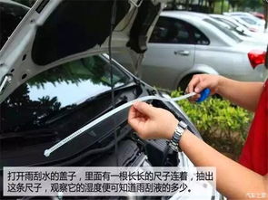 汽车一般要加多少水(汽车一般要加多少水)
