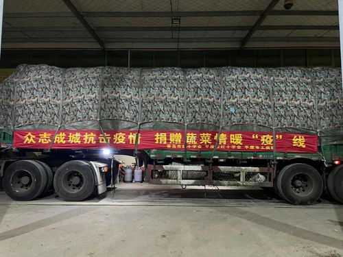 汽车拉一个托盘是多少吨(汽车拉一个托盘的重量是多少吨？