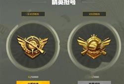 怎么电脑下崩坏三华为服(如何下载崩坏三华为服至电脑)