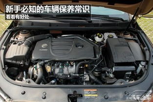 汽车保养器多少钱一个(汽车保养器价格解析，了解汽车保养器的价格及其重要性)