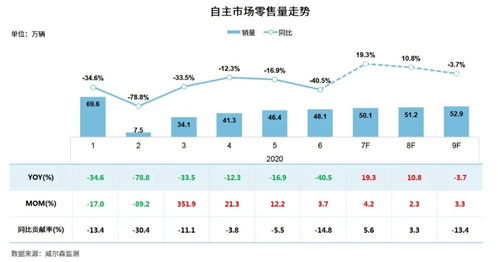 博白汽车站到深圳多少钱(博白汽车站至深圳票价详解，费用、行程与选择)