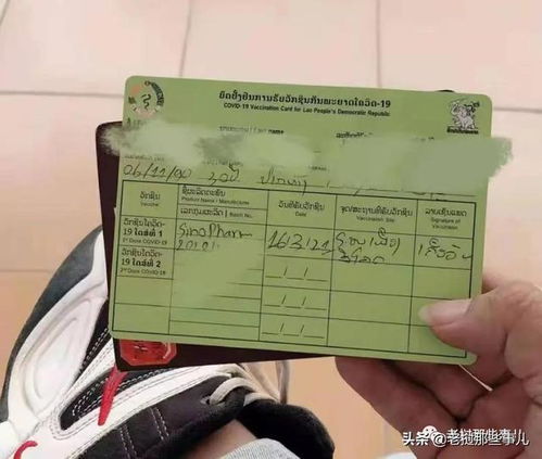 沁阳汽车车站电话多少啊(沁阳汽车车站电话查询及出行指南)