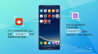 华为电脑反转怎么设置(华为电脑反转设置指南，轻松实现屏幕反转功能)