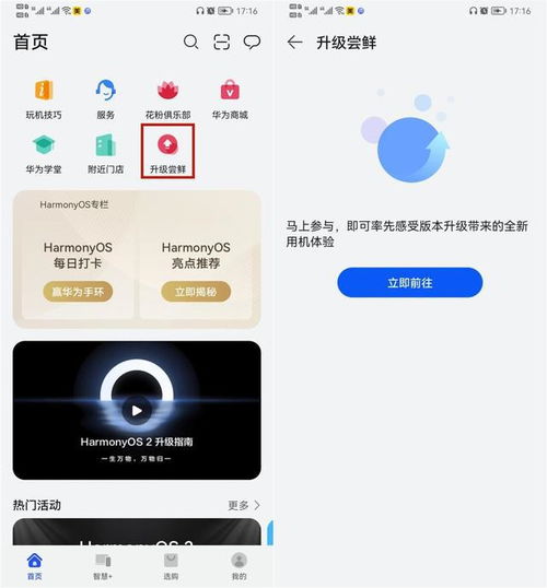华为怎么用电脑升级鸿蒙(华为电脑升级鸿蒙系统指南)