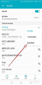 怎么修改华为手机DNS 怎么修改华为手机DNS