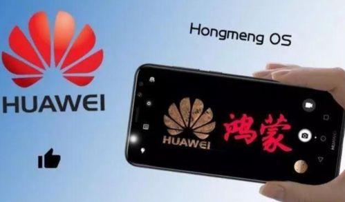 华为手机怎么升级苹果 华为手机怎么升级苹果