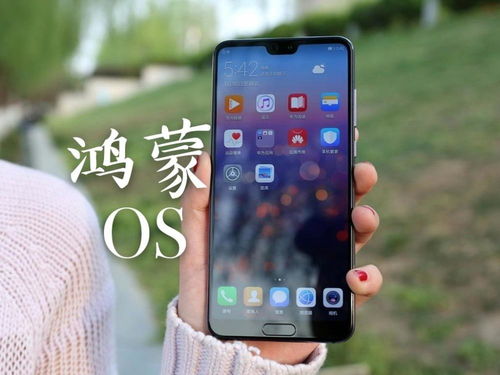 华为鸿蒙手机怎么打开 华为鸿蒙手机怎么打开