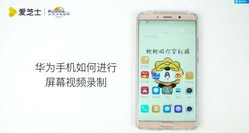 华为手机视频怎么安装 华为手机视频怎么安装