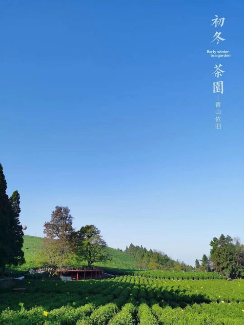 华为手机怎么画好看 华为手机怎么画好看