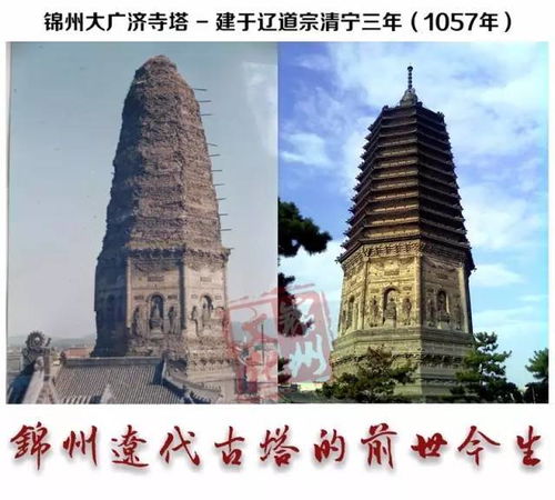 辽宁一逾800年辽代古塔石缝频现长蛇 辽宁一逾800年辽代古塔石缝频现长蛇