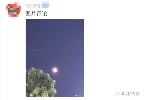 孙浩谈翻红:能演苟存忠就很幸福 孙浩谈翻红:能演苟存忠就很幸福