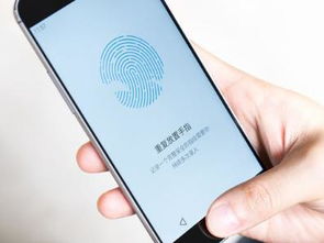 华为手机用手机怎么刷屏 华为手机用手机怎么刷屏